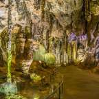 Eine sehr große Höhle mit vielen Felsen und Bäumen