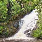Ein Wasserfall inmitten eines tropischen Dschungels