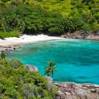 Ein tropischer Strand mit weißem Sand und blauem Wasser umgeben von Bäumen