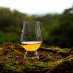 Ein Glas Whisky sitzt auf einem Stück Moos