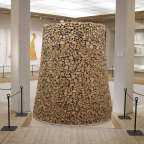 Ein riesiges Stück Holz in einem Museum