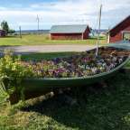 Ein grünes Boot voller Blumen auf einer Wiese