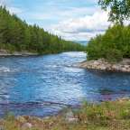 Ein Fluss, der durch einen Wald fließt