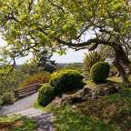 Government House Gardens
