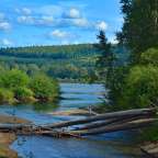 Ein Fluss, der durch einen Wald fließt
