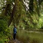 Eine Frau steht neben einem Fluss in einem Wald