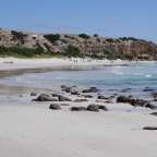 Eine Gruppe von Menschen geht an einem Strand entlang