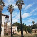 Ein Gebäude mit Palmen und einem Wasserturm davor