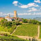 Mittelalterlicher Turm: Barbaresco