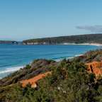 Ein Blick auf einen Strand mit Bäumen im Vordergrund
