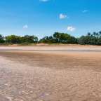 Ein Strand mit Palmen im Hintergrund und einem blauen Himmel