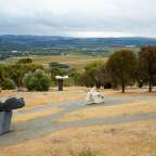 Eine Landschaft mit Bäumen und einem Weg in der Mitte