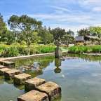 Ein gepflegter Garten mit einem Teich, Steinen als Trittsteine, Fischen und umgebender Vegetation an einem sonnigen Tag.