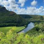 Einzigartige Flussidylle: Wailua River State Park
