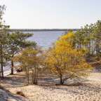 Vielfältige Lebensräume: Carolina Beach State Park