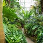 Phipps Conservatory and Botanical Gardens