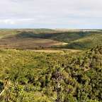 Kariega Game Reserve