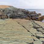Mistaken Point Ecological Reserve