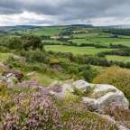 Cheviot Hills, Northumberland