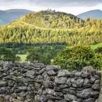 Traditionelle Steinmauer: Cumbria