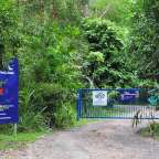 Tolga Bat Hospital