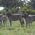 Östlich des Kwando Rivers: Mudumu National Park