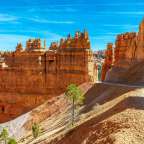 Navajo Loop Trail & Queens Garden Trail