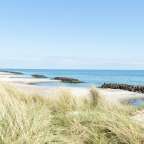 An einem Strand mit Dünen und Steinmolen am Meer ist der Himmel klar und blau.