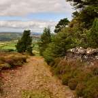 Wanderung auf den Brandon Hill