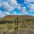 Lesueur National Park