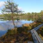 Ein Holzbohlenpfad schlängelt sich durch die estnische Moorlandschaft an einem ruhigen See im Naturlehrpfad Jalase vorbei.