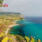 Eine Kaktuspflanze steht auf einem Hügel mit Blick auf das Meer