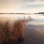 Ein See mit einem paar Bäumen im Wasser