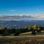 Ein Blick auf eine Bergkette mit Bäumen im Vordergrund
