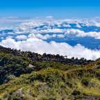 Eine Landschaft mit Bäumen und Wolken im Hintergrund