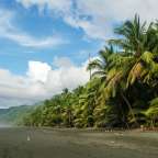 Ein Strand mit Palmen und Bergen im Hintergrund