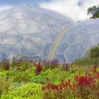 Eine große Glaskuppel steht inmitten eines Blumengartens