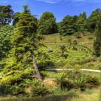 Ein Labyrinth in einem Park mit vielen Bäumen