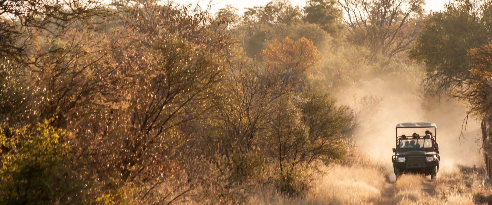 Ein offener Jeep fährt auf einem staubigen Weg durch eine trockene Savannenlandschaft, umgeben von Bäumen und Sträuchern.