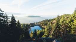Ein See, umgeben von Bäumen und Bergen