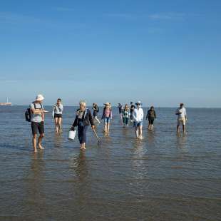 Eine Gruppe von Menschen geht im Wasser spazieren