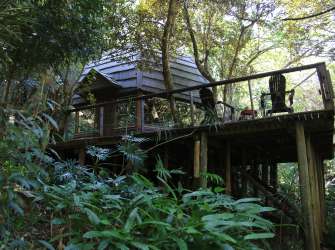 Unser gemütliches Regenwaldhaus
