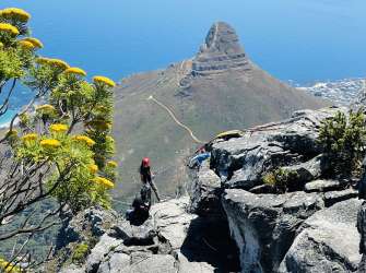 Aussichten vom Tafelberg