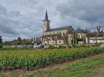 Aloxe Corton