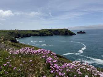 Küste bei Tintagel