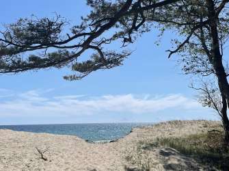 Ein Strand mit Sanddünen und Bäumen unter blauem Himmel und Blick auf das Meer.