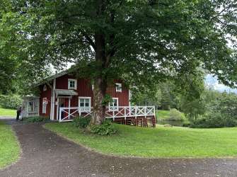 Ein rotes Holzhaus steht unter einem großen Baum in der Nähe eines Sees.