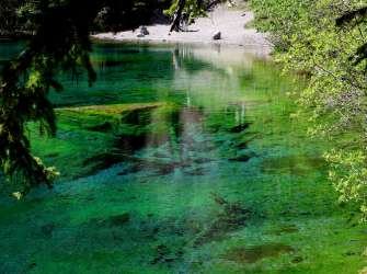 Ein klarer, smaragdgrüner See, gesäumt von üppigem Grün, spiegelt den Himmel und die umliegenden Bäume wider.