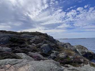 Ein felsiger Küstenabschnitt mit vereinzelter Vegetation und einem Meer unter einem bewölkten Himmel.
