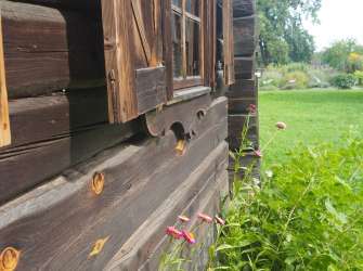 Ein hölzernes Blockhaus im Freilichtmuseum in Estland mit geöffneten Fensterläden und Blumen im Garten.